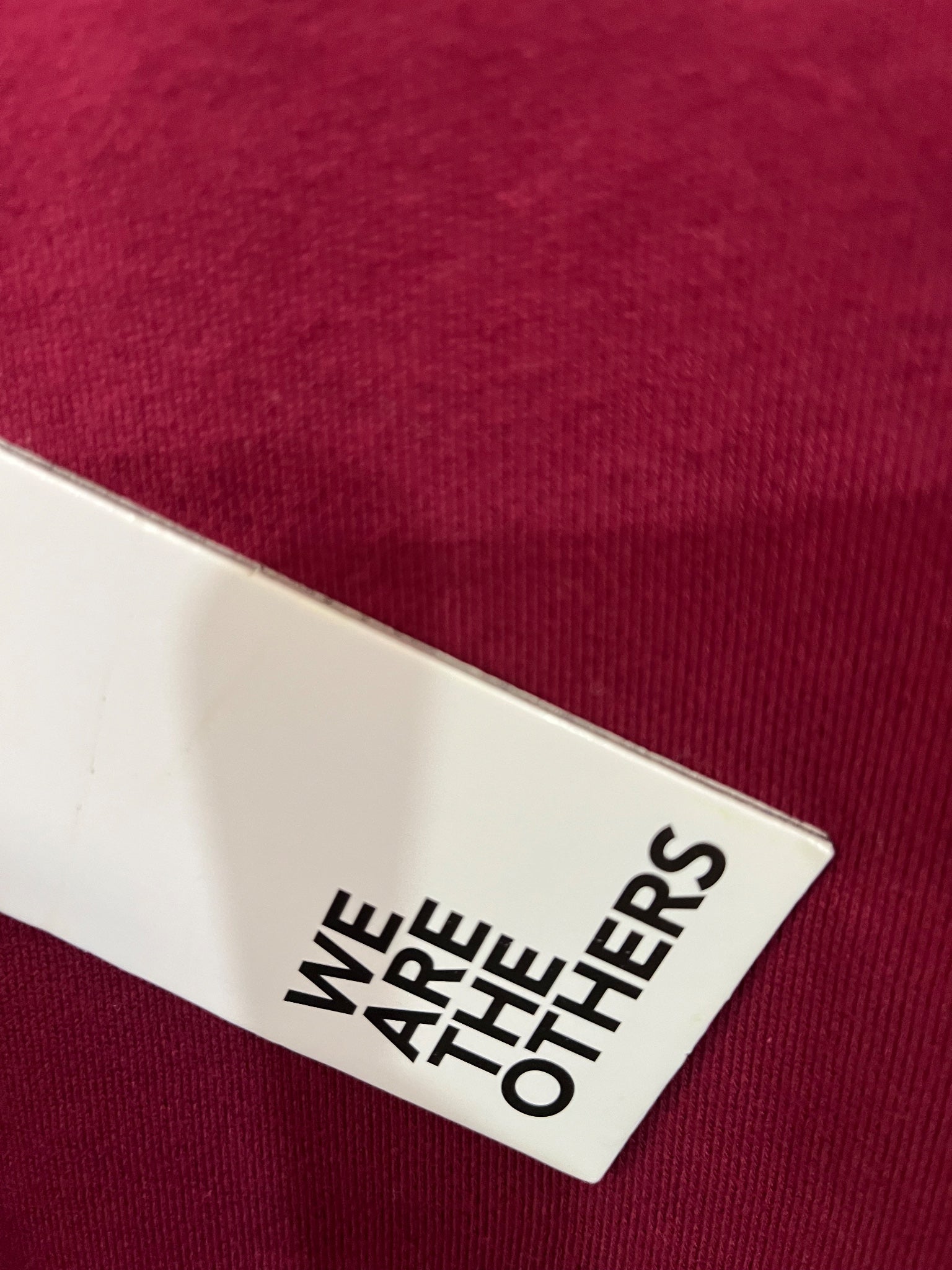 We Are The Others Bon Voyage Graphic Sweatshirt Maroon - Image 5
